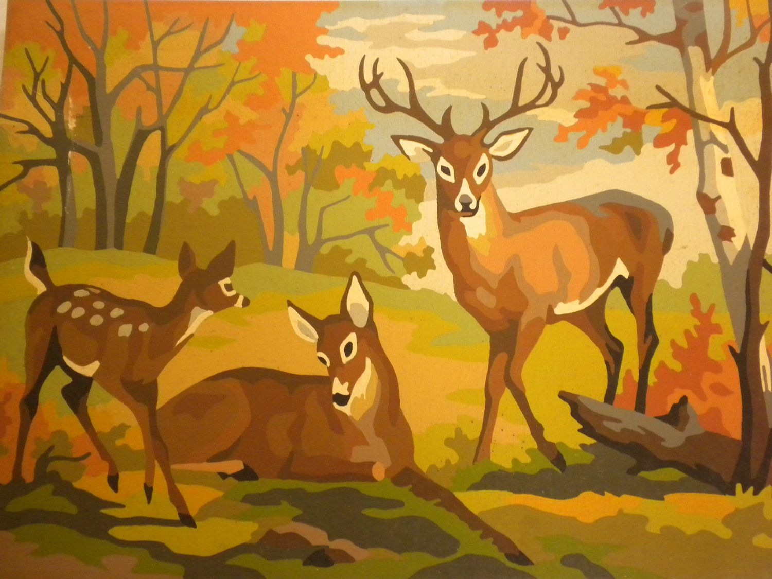 deer paint by number